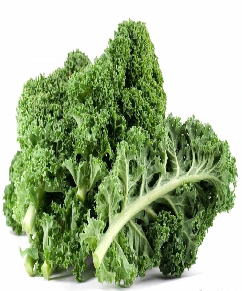 Kale (200g pack) | SS FOOD SERVICE