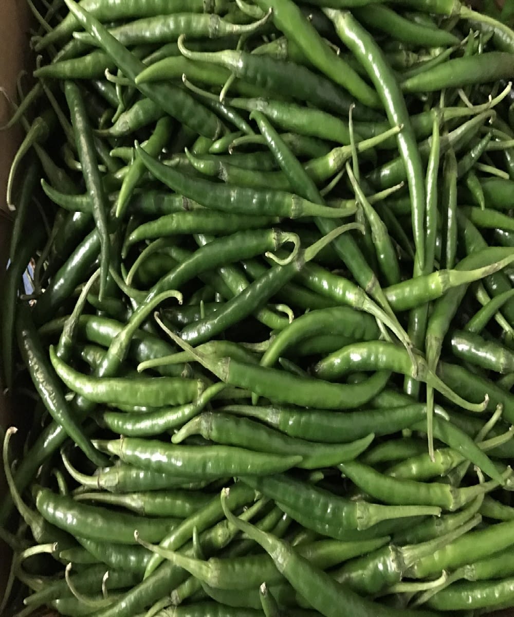 Green Chilli Indian Thin (200g) SS FOOD SERVICE
