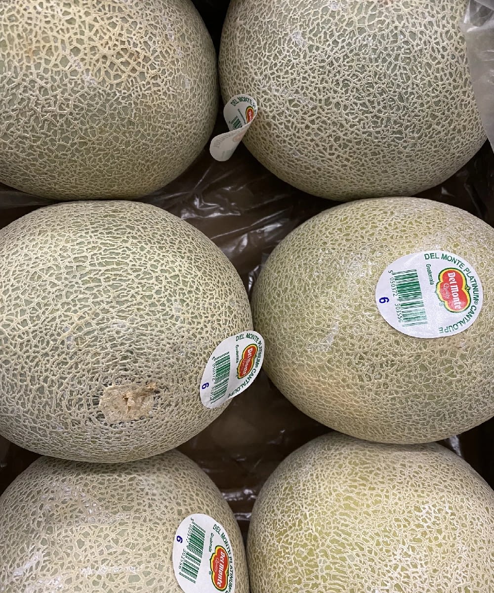 Cantaloupe Melon SS FOOD SERVICE